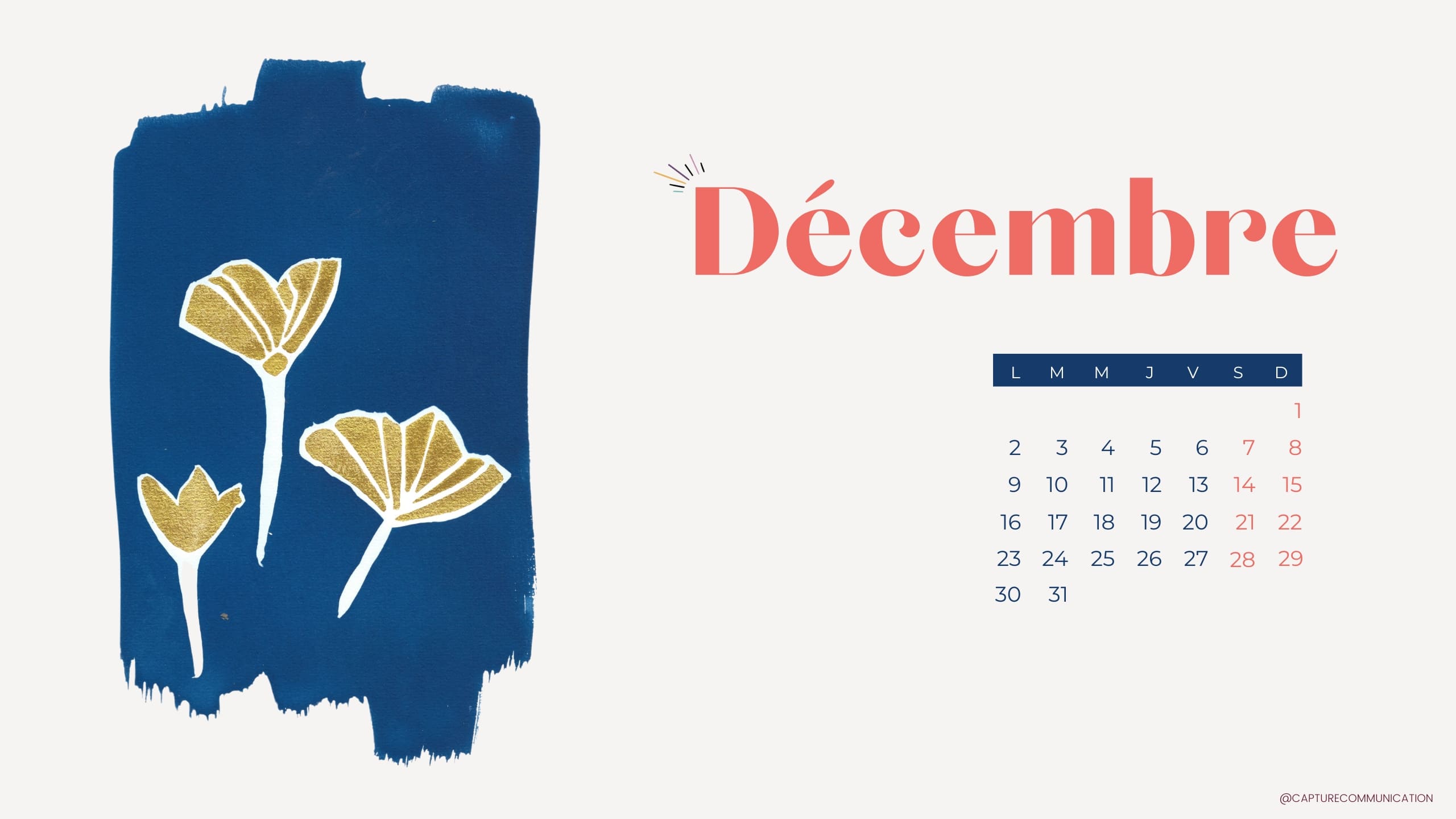 Tes fonds d’écran \u0026 calendrier de Décembre 2024 à télécharger gratuitement