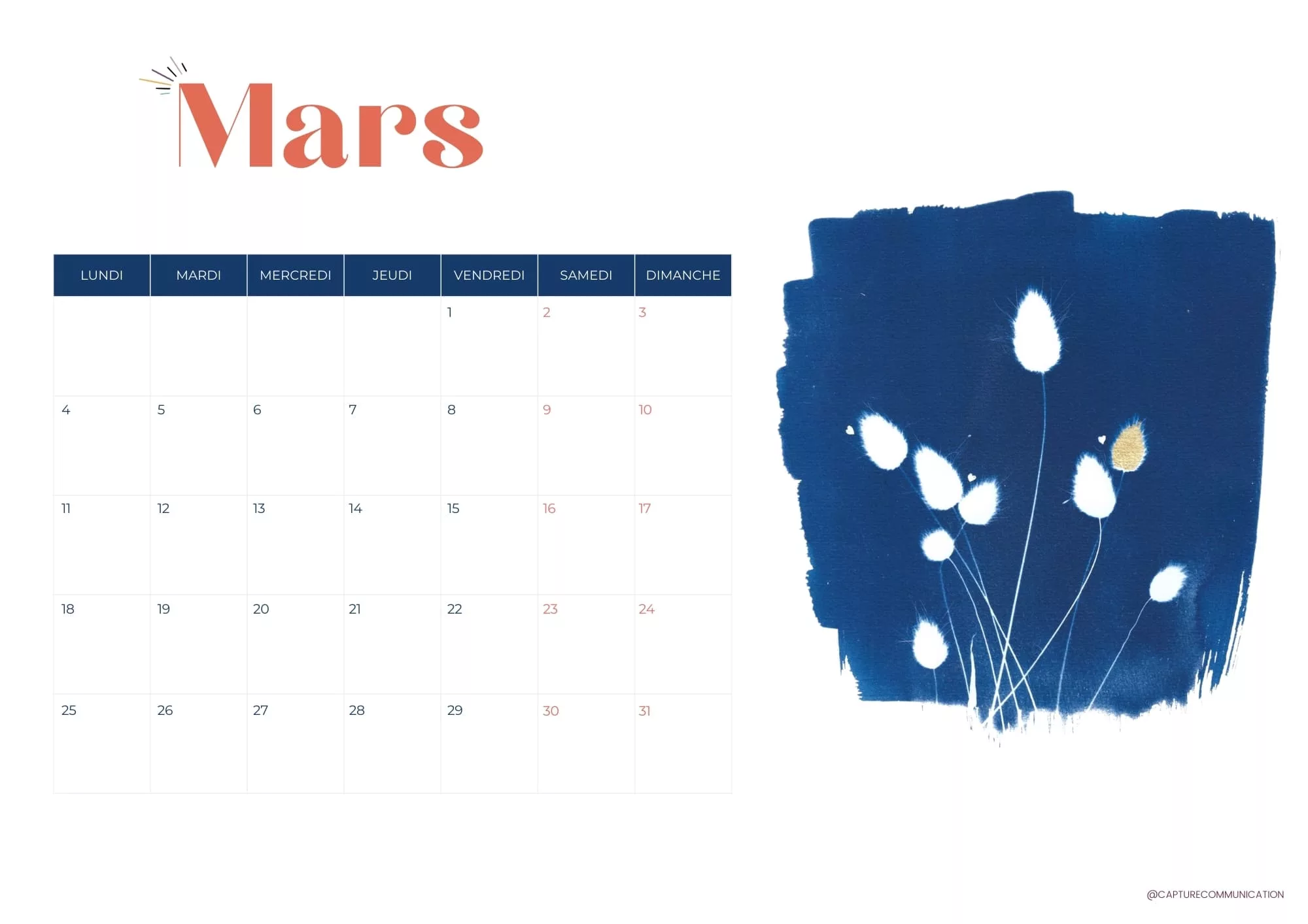 Tes fonds d’écran & calendrier de Mars 2024 à télécharger gratuitement